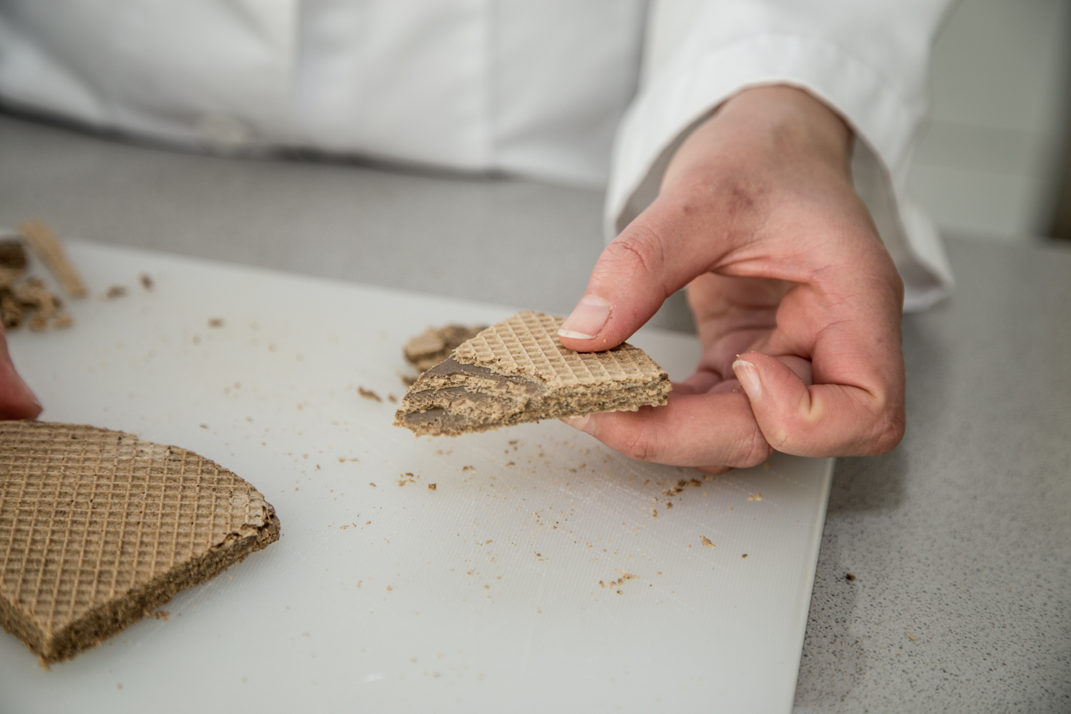The benefits of insects are being explored across the food chain. Here: insect flour waffles from a previous project. (© FH JOANNEUM / Manfred Terler)
