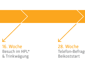 Probandinnen 14