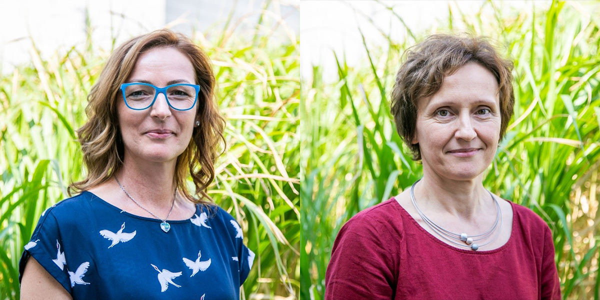 Die beiden Diätologinnen Maria Tropper und Andrea Fassl bieten kostenlose Ernährungsberatungen im Bezirk Hartberg-Fürstenfeld bzw. Südoststeiermark an.