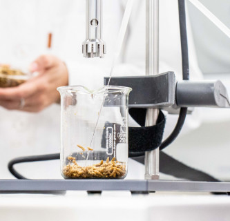 Sustainable Protein: Integrierte Insekten-Innovationen spi³ 14