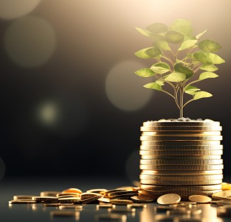 Investment concept, Coins stack with green plant growing on them, 3d render